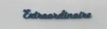 MOT PLEXI 3 MM EXTRAORDINAIRE COULEUR AU CHOIX