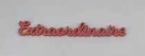 MOT PLEXI 3 MM EXTRAORDINAIRE COULEUR AU CHOIX