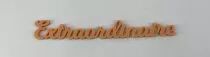 MOT PLEXI 3 MM EXTRAORDINAIRE COULEUR AU CHOIX