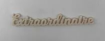 MOT PLEXI 3 MM EXTRAORDINAIRE COULEUR AU CHOIX