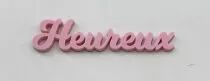 MOT PLEXI 3 MM HEUREUX COULEUR AU CHOIX