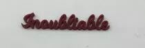 MOT PLEXI 3 MM INOUBLIABLE COULEUR AU CHOIX