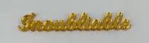 MOT PLEXI 3 MM INOUBLIABLE COULEUR AU CHOIX