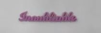 MOT PLEXI 3 MM INOUBLIABLE COULEUR AU CHOIX