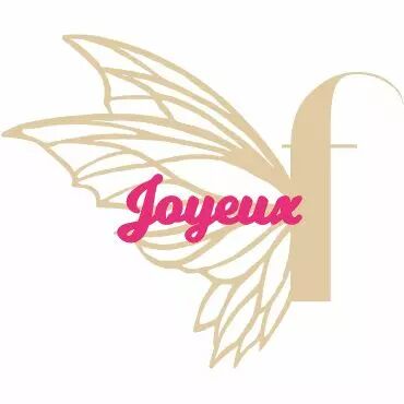 MOT PLEXI 3 MM JOYEUX COULEUR AU CHOIX