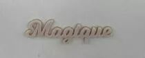 MOT PLEXI 3 MM MAGIQUE COULEUR AU CHOIX