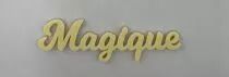 MOT PLEXI 3 MM MAGIQUE COULEUR AU CHOIX
