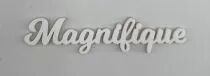 MOT PLEXI 3 MM MAGNIFIQUE COULEUR AU CHOIX