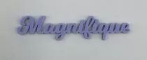 MOT PLEXI 3 MM MAGNIFIQUE COULEUR AU CHOIX