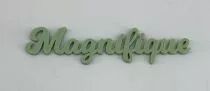 MOT PLEXI 3 MM MAGNIFIQUE COULEUR AU CHOIX
