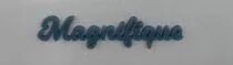 MOT PLEXI 3 MM MAGNIFIQUE COULEUR AU CHOIX