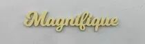 MOT PLEXI 3 MM MAGNIFIQUE COULEUR AU CHOIX