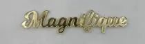 MOT PLEXI 3 MM MAGNIFIQUE COULEUR AU CHOIX