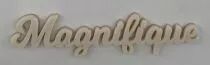 MOT PLEXI 3 MM MAGNIFIQUE COULEUR AU CHOIX