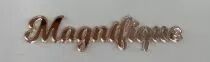 MOT PLEXI 3 MM MAGNIFIQUE COULEUR AU CHOIX