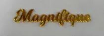 MOT PLEXI 3 MM MAGNIFIQUE COULEUR AU CHOIX