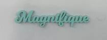 MOT PLEXI 3 MM MAGNIFIQUE COULEUR AU CHOIX