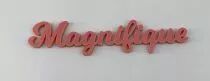 MOT PLEXI 3 MM MAGNIFIQUE COULEUR AU CHOIX