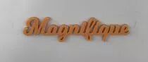 MOT PLEXI 3 MM MAGNIFIQUE COULEUR AU CHOIX