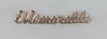 MOT PLEXI 3 MM MEMORABLE COULEUR AU CHOIX