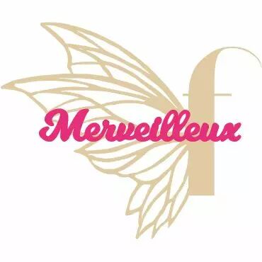 MOT PLEXI 3 MM MERVEILLEUX COULEUR AU CHOIX