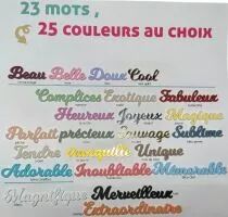 MOT PLEXI 3 MM MERVEILLEUX COULEUR AU CHOIX