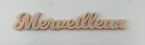 MOT PLEXI 3 MM MERVEILLEUX COULEUR AU CHOIX
