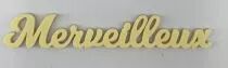 MOT PLEXI 3 MM MERVEILLEUX COULEUR AU CHOIX