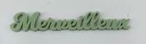 MOT PLEXI 3 MM MERVEILLEUX COULEUR AU CHOIX