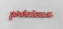 MOT PLEXI 3 MM PRECIEUX COULEUR AU CHOIX