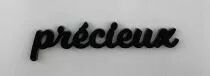 MOT PLEXI 3 MM PRECIEUX COULEUR AU CHOIX