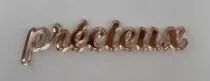 MOT PLEXI 3 MM PRECIEUX COULEUR AU CHOIX