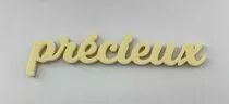 MOT PLEXI 3 MM PRECIEUX COULEUR AU CHOIX