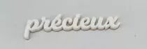 MOT PLEXI 3 MM PRECIEUX COULEUR AU CHOIX