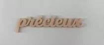 MOT PLEXI 3 MM PRECIEUX COULEUR AU CHOIX