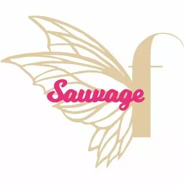 MOT PLEXI 3 MM SAUVAGE COULEUR AU CHOIX