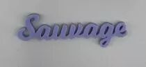 MOT PLEXI 3 MM SAUVAGE COULEUR AU CHOIX