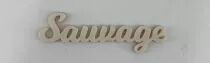 MOT PLEXI 3 MM SAUVAGE COULEUR AU CHOIX