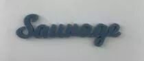 MOT PLEXI 3 MM SAUVAGE COULEUR AU CHOIX
