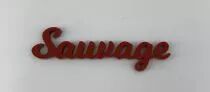 MOT PLEXI 3 MM SAUVAGE COULEUR AU CHOIX