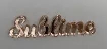 MOT PLEXI 3 MM SUBLIME COULEUR AU CHOIX