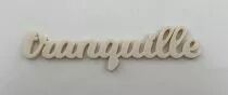 MOT PLEXI 3 MM TRANQUILLE COULEUR AU CHOIX
