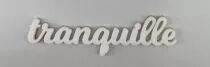 MOT PLEXI 3 MM TRANQUILLE COULEUR AU CHOIX