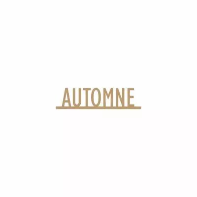 MOTS MDF 3 MM AUTOMNE