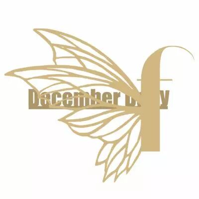 MOTS MDF 3 MM DECEMBER DAILY