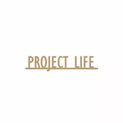 MOTS MDF 3 MM PROJECT LIFE
