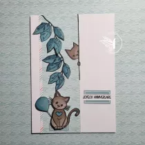 Pack un air camarguais