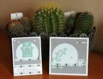 Pack Un air chic menthe