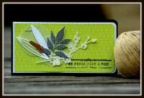 Pack Un air chic vert