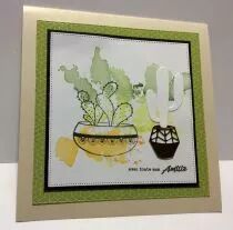 Pack Un air chic vert